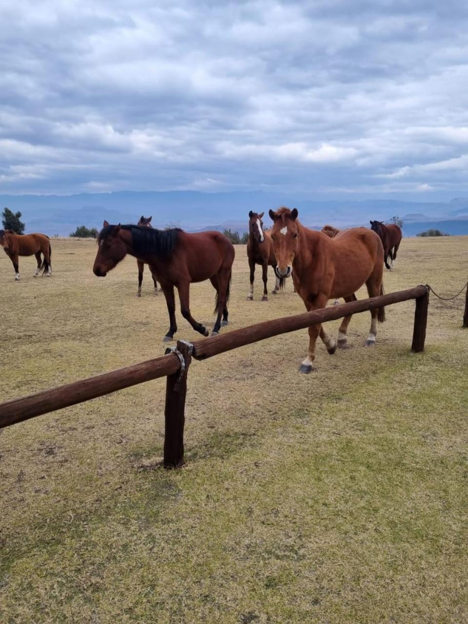 Drakensberg Mountain Retreat Guest House Bergville Bagian luar foto