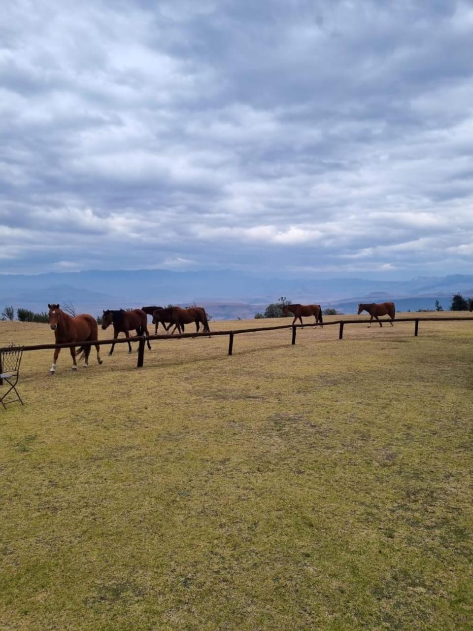 Drakensberg Mountain Retreat Guest House Bergville Bagian luar foto
